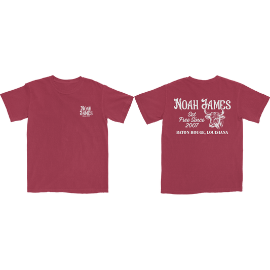 Louisiana Garment-Dyed Tee